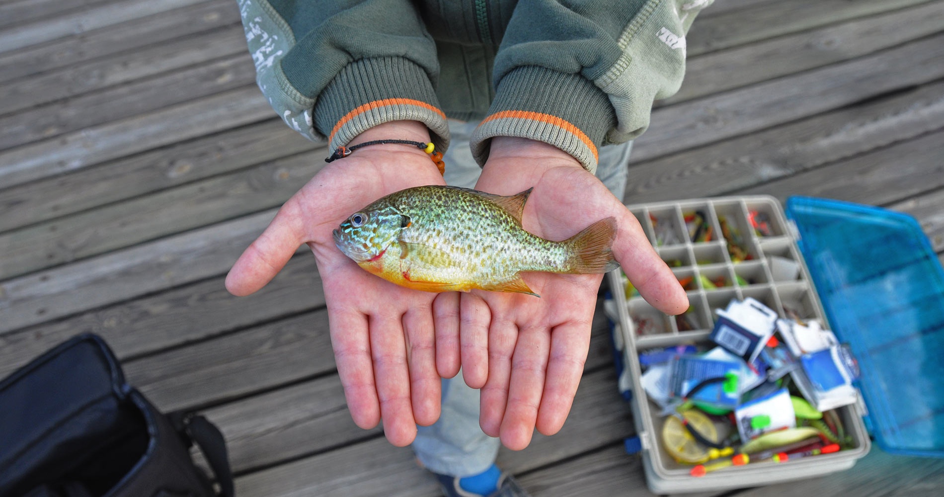 Fischen Klopeiner See